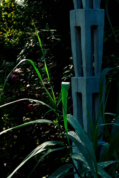 Ehemaliger eigener Privatgarten I Sabine Zentek, Impressionen Frühling